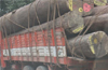 Mangaluru authorites to ban heavy goods vehicles during peak hours